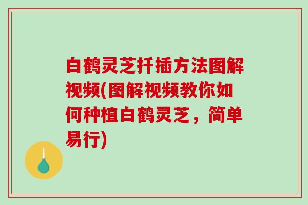 白鹤灵芝扦插方法图解视频(图解视频教你如何种植白鹤灵芝，简单易行)
