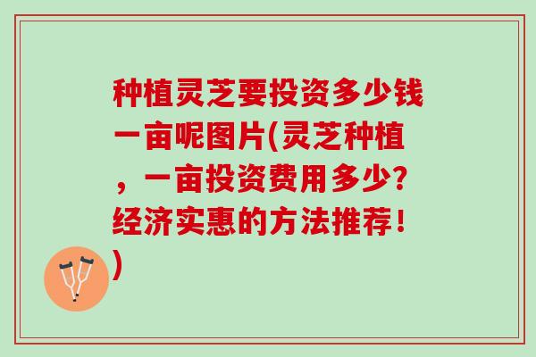 种植灵芝要投资多少钱一亩呢图片(灵芝种植，一亩投资费用多少？经济实惠的方法推荐！)