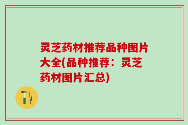 灵芝药材推荐品种图片大全(品种推荐：灵芝药材图片汇总)