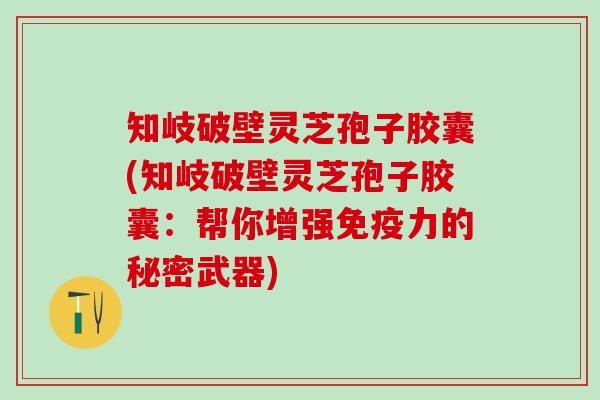 知岐破壁灵芝孢子胶囊(知岐破壁灵芝孢子胶囊：帮你增强免疫力的秘密武器)