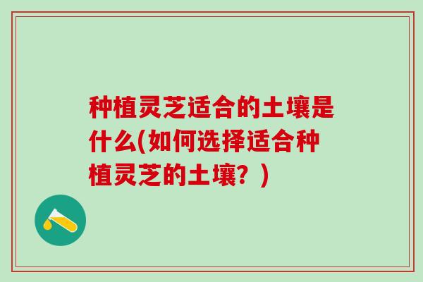 种植灵芝适合的土壤是什么(如何选择适合种植灵芝的土壤？)