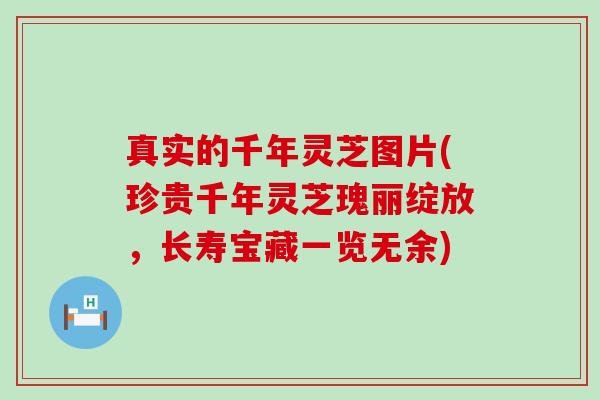 真实的千年灵芝图片(珍贵千年灵芝瑰丽绽放，长寿宝藏一览无余)