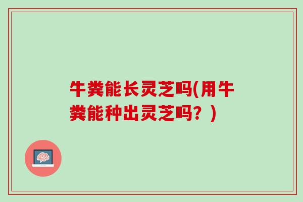 牛粪能长灵芝吗(用牛粪能种出灵芝吗？)