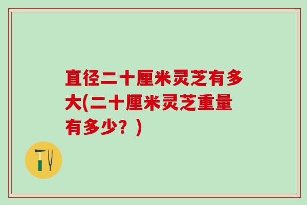 直径二十厘米灵芝有多大(二十厘米灵芝重量有多少？)