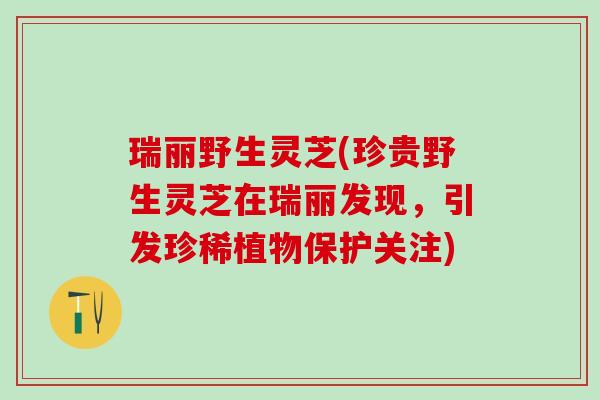 瑞丽野生灵芝(珍贵野生灵芝在瑞丽发现，引发珍稀植物保护关注)