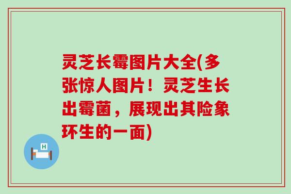 灵芝长霉图片大全(多张惊人图片！灵芝生长出霉菌，展现出其险象环生的一面)