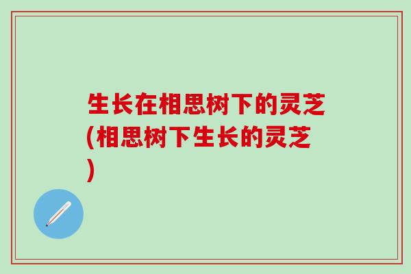 生长在相思树下的灵芝(相思树下生长的灵芝)