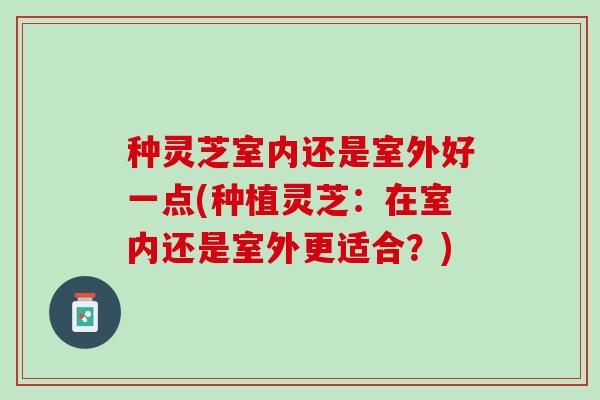 种灵芝室内还是室外好一点(种植灵芝：在室内还是室外更适合？)