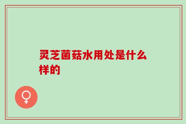 灵芝菌菇水用处是什么样的