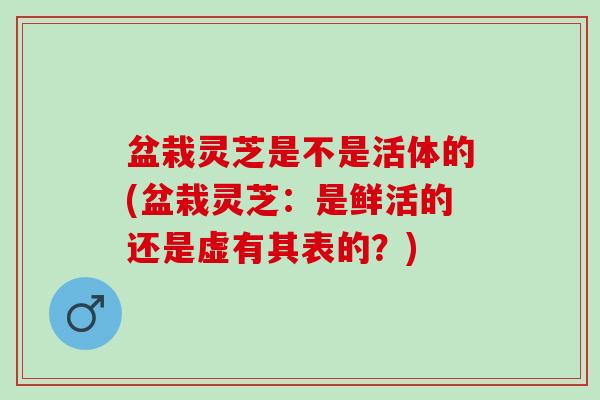 盆栽灵芝是不是活体的(盆栽灵芝：是鲜活的还是虚有其表的？)
