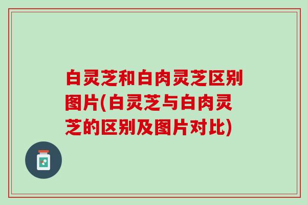 白灵芝和白肉灵芝区别图片(白灵芝与白肉灵芝的区别及图片对比)