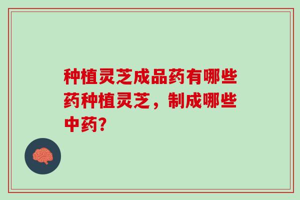 种植灵芝成品药有哪些药种植灵芝，制成哪些中药？
