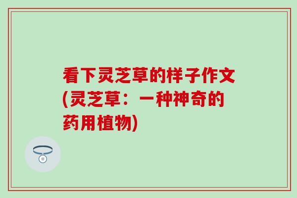 看下灵芝草的样子作文(灵芝草：一种神奇的药用植物)