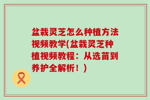 盆栽灵芝怎么种植方法视频教学(盆栽灵芝种植视频教程：从选苗到养护全解析！)