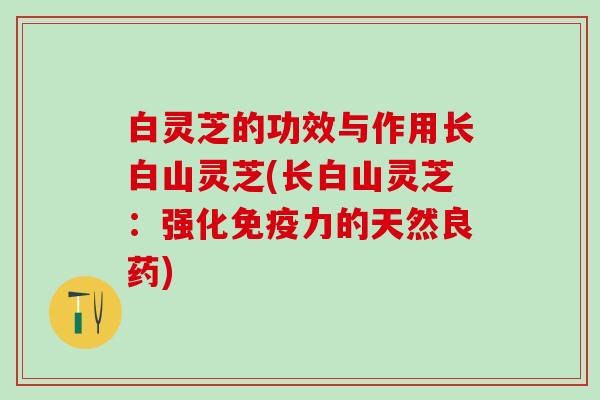 白灵芝的功效与作用长白山灵芝(长白山灵芝：强化免疫力的天然良药)