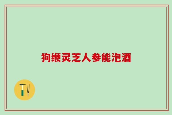 狗缏灵芝人参能泡酒