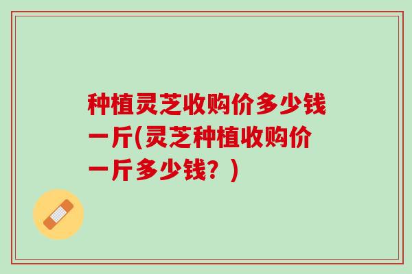 种植灵芝收购价多少钱一斤(灵芝种植收购价一斤多少钱？)