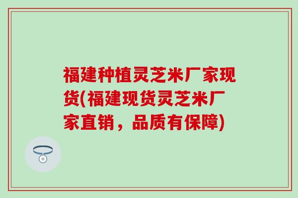 福建种植灵芝米厂家现货(福建现货灵芝米厂家直销，品质有保障)
