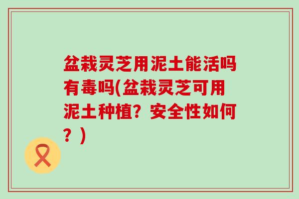 盆栽灵芝用泥土能活吗有毒吗(盆栽灵芝可用泥土种植？安全性如何？)