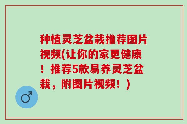 种植灵芝盆栽推荐图片视频(让你的家更健康！推荐5款易养灵芝盆栽，附图片视频！)