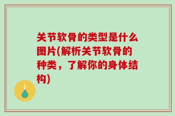 关节软骨的类型是什么图片(解析关节软骨的种类，了解你的身体结构)