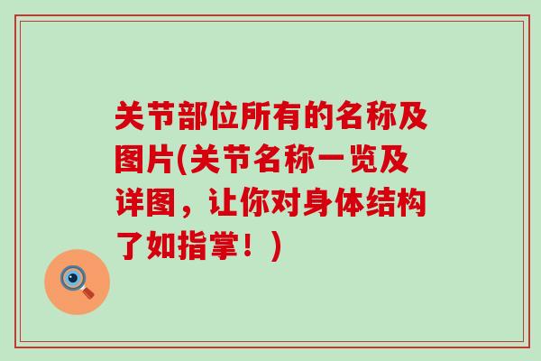 关节部位所有的名称及图片(关节名称一览及详图，让你对身体结构了如指掌！)