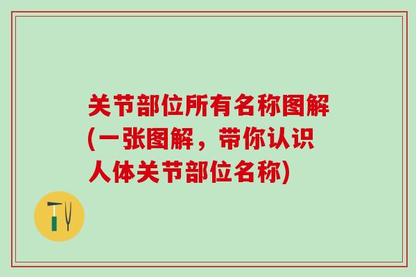 关节部位所有名称图解(一张图解，带你认识人体关节部位名称)