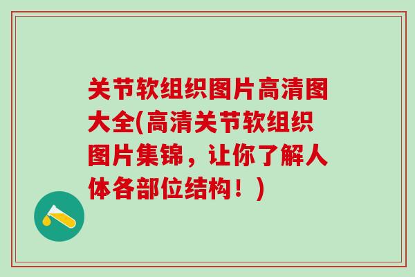 关节软组织图片高清图大全(高清关节软组织图片集锦，让你了解人体各部位结构！)