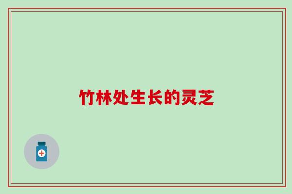 竹林处生长的灵芝