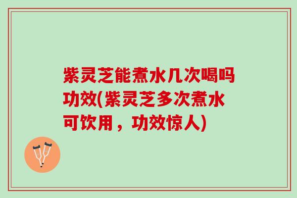 紫灵芝能煮水几次喝吗功效(紫灵芝多次煮水可饮用，功效惊人)