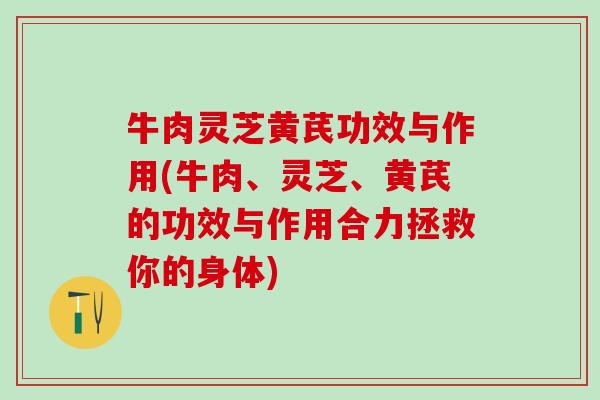 牛肉灵芝黄芪功效与作用(牛肉、灵芝、黄芪的功效与作用合力拯救你的身体)