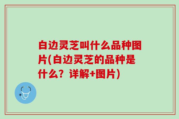 白边灵芝叫什么品种图片(白边灵芝的品种是什么？详解+图片)