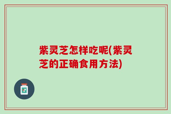 紫灵芝怎样吃呢(紫灵芝的正确食用方法)