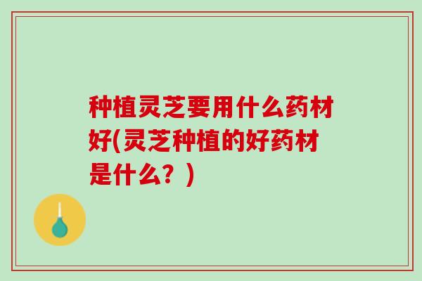 种植灵芝要用什么药材好(灵芝种植的好药材是什么?) 种植灵芝要用什么药材好(灵芝种植的好药材是什么?)