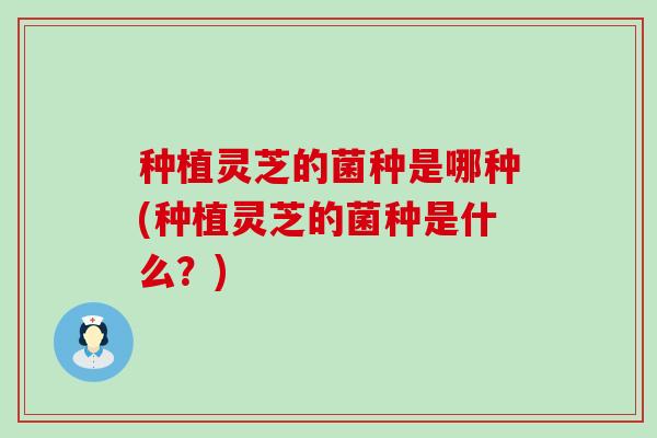 种植灵芝的菌种是哪种(种植灵芝的菌种是什么？)