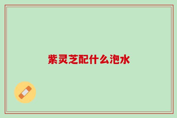 紫灵芝配什么泡水