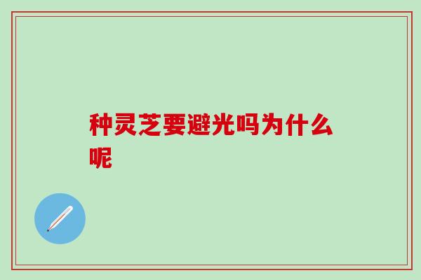 种灵芝要避光吗为什么呢
