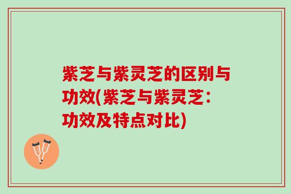 紫芝与紫灵芝的区别与功效(紫芝与紫灵芝:功效及特点对比) 紫芝与紫灵芝的区别与功效(紫芝与紫灵芝:功效及特点对比)