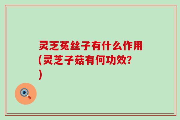 灵芝菟丝子有什么作用(灵芝子菇有何功效？)