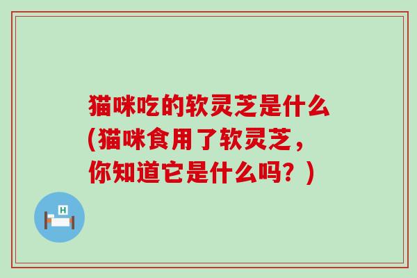 猫咪吃的软灵芝是什么(猫咪食用了软灵芝，你知道它是什么吗？)