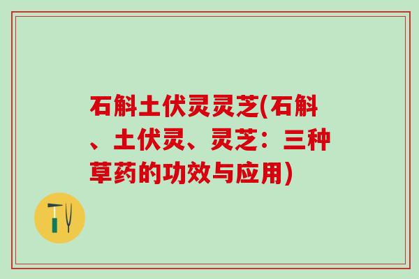 石斛土伏灵灵芝(石斛、土伏灵、灵芝：三种草药的功效与应用)