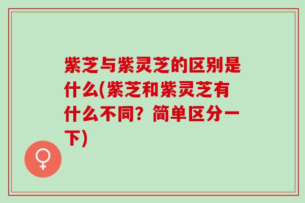 紫芝与紫灵芝的区别是什么(紫芝和紫灵芝有什么不同？简单区分一下)