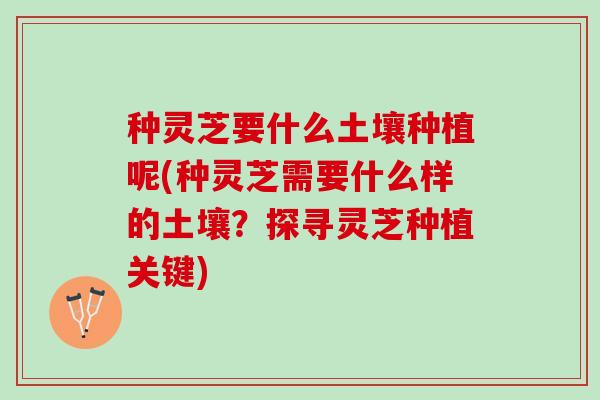 种灵芝要什么土壤种植呢(种灵芝需要什么样的土壤？探寻灵芝种植关键)