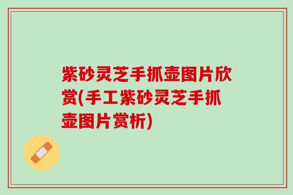 紫砂灵芝手抓壶图片欣赏(手工紫砂灵芝手抓壶图片赏析)