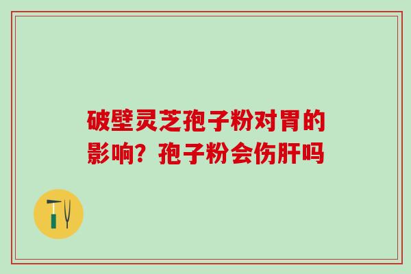 破壁灵芝孢子粉对胃的影响？孢子粉会伤肝吗