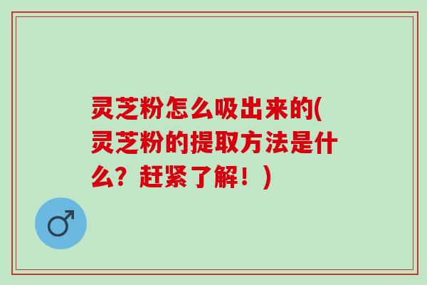 灵芝粉怎么吸出来的(灵芝粉的提取方法是什么？赶紧了解！)