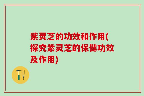 紫灵芝的功效和作用(探究紫灵芝的保健功效及作用)