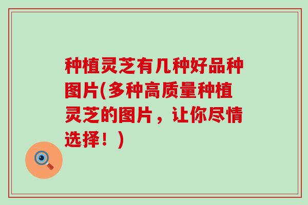 种植灵芝有几种好品种图片(多种高质量种植灵芝的图片，让你尽情选择！)
