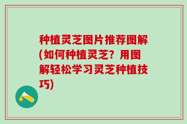 种植灵芝图片推荐图解(如何种植灵芝？用图解轻松学习灵芝种植技巧)