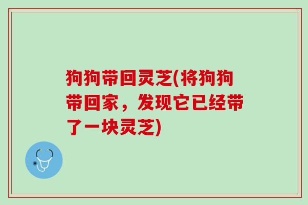 狗狗带回灵芝(将狗狗带回家,发现它已经带了一块灵芝) 狗狗带回灵芝(将狗狗带回家,发现它已经带了一块灵芝)